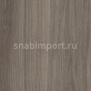 Дизайн плитка Amtico Spacia Wood SS5W2542 Серый — купить в Москве в интернет-магазине Snabimport