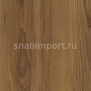 Дизайн плитка Amtico Spacia Wood SS5W2544 коричневый — купить в Москве в интернет-магазине Snabimport