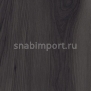 Дизайн плитка Amtico Spacia Wood SS5W2552 черный — купить в Москве в интернет-магазине Snabimport