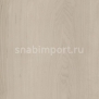 Дизайн плитка Amtico Spacia Wood SS5W2654 Бежевый — купить в Москве в интернет-магазине Snabimport