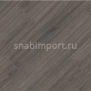 Дизайн плитка Swiff-Train Tempo TEM 03 Серый — купить в Москве в интернет-магазине Snabimport