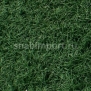Искусственная трава для игровых открытых полей Stadio Grass 50 — купить в Москве в интернет-магазине Snabimport