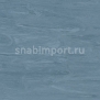 Коммерческий линолеум Polyflor Standard XL 9170 Atlantic Blue — купить в Москве в интернет-магазине Snabimport