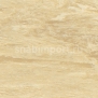 Коммерческий линолеум Polyflor Standard XL 9180 Desert Sand