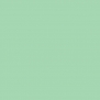 Акриловая краска Oikos Supercolor-N558 зеленый — купить в Москве в интернет-магазине Snabimport