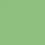 Акриловая краска Oikos Supercolor-N728 зеленый — купить в Москве в интернет-магазине Snabimport