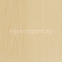 Дизайн плитка Amtico Access Wood SX5W5023 Бежевый — купить в Москве в интернет-магазине Snabimport