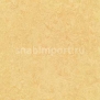 Натуральный линолеум Forbo Marmoleum tile t2795