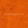 Натуральный линолеум Forbo Marmoleum tile t3126 — купить в Москве в интернет-магазине Snabimport
