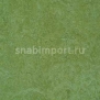 Натуральный линолеум Forbo Marmoleum tile t3223