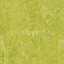 Натуральный линолеум Forbo Marmoleum tile t3224