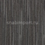 Ковровая плитка Tapibel Linea 40142 Серый — купить в Москве в интернет-магазине Snabimport