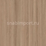 Натуральный линолеум Forbo Marmoleum Modular Lines t5217 — купить в Москве в интернет-магазине Snabimport