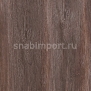 Ламинат Tarkett Holiday 832 Дуб Хантер коричневый — купить в Москве в интернет-магазине Snabimport