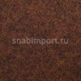 Ковровое покрытие Carpet Concept Tizo B02201 коричневый — купить в Москве в интернет-магазине Snabimport