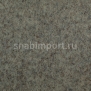 Ковровое покрытие Carpet Concept Tizo B02801