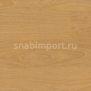 Спортивные покрытия Gerflor Taraflex™ Multi-Use 6.2 4331 — купить в Москве в интернет-магазине Snabimport