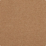 Ковровое покрытие Westex Pure Luxury Wool Collection Troika-Softwood коричневый — купить в Москве в интернет-магазине Snabimport
