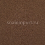 Ковровое покрытие Carpet Concept Uno 60164 коричневый — купить в Москве в интернет-магазине Snabimport