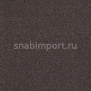 Ковровое покрытие Carpet Concept Uno 60189 черный — купить в Москве в интернет-магазине Snabimport