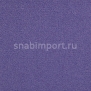 Ковровое покрытие Carpet Concept Uno 9208 Фиолетовый — купить в Москве в интернет-магазине Snabimport
