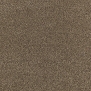Ковровое покрытие Tapibel Altum Velvet-60230