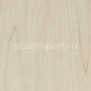 Дизайн плитка Forbo Allura wood w60003 Бежевый — купить в Москве в интернет-магазине Snabimport