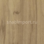Дизайн плитка Forbo Allura wood w60026 коричневый — купить в Москве в интернет-магазине Snabimport