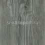 Дизайн плитка Forbo Allura wood w60087