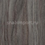 Дизайн плитка Forbo Allura wood w60185 коричневый — купить в Москве в интернет-магазине Snabimport