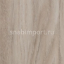 Дизайн плитка Forbo Allura wood w60186 Бежевый — купить в Москве в интернет-магазине Snabimport