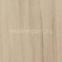 Дизайн плитка Forbo Allura wood w60305 Бежевый — купить в Москве в интернет-магазине Snabimport