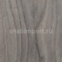 Дизайн плитка Forbo Allura wood w60306 Серый — купить в Москве в интернет-магазине Snabimport