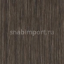 Дизайн плитка Forbo Allura wood w61257 коричневый — купить в Москве в интернет-магазине Snabimport