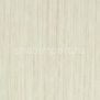 Дизайн плитка Forbo Allura wood w61259 Бежевый — купить в Москве в интернет-магазине Snabimport