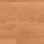 Акустический линолеум Polyflor Polysafe Wood FX Acoustix PUR 3302 Cherry — купить в Москве в интернет-магазине Snabimport