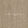 Текстильные обои Vycon Illuminato Y46090 коричневый — купить в Москве в интернет-магазине Snabimport
