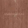 Текстильные обои Vycon Illuminato Nouveau Y46260 коричневый — купить в Москве в интернет-магазине Snabimport