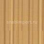Виниловые обои Vycon Borderline Y46329 коричневый — купить в Москве в интернет-магазине Snabimport