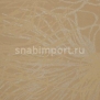 Виниловые обои Vycon Anemone Y46630 коричневый — купить в Москве в интернет-магазине Snabimport