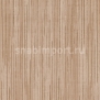 Виниловые обои Vycon Skyward Y46798 коричневый — купить в Москве в интернет-магазине Snabimport