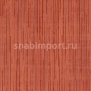Виниловые обои Vycon Skyward Y46802 Оранжевый — купить в Москве в интернет-магазине Snabimport