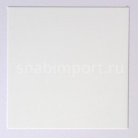 Белый экран для фронтальной проекции Tuechler WHITESTAR PLAIN белый — купить в Москве в интернет-магазине Snabimport