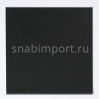 Черный экран для фронтальной и обратной проекции Tuechler BLACK PEARL чёрный — купить в Москве в интернет-магазине Snabimport
