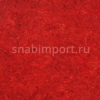Натуральный линолеум Armstrong Marmorette LPX 121-018 (2 мм) — купить в Москве в интернет-магазине Snabimport