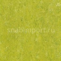 Натуральный линолеум Armstrong Marmorette PUR 125-132 (2,5 мм) — купить в Москве в интернет-магазине Snabimport