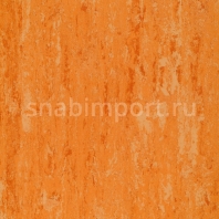 Натуральный линолеум Armstrong Linodur LPX 151-072 — купить в Москве в интернет-магазине Snabimport