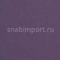 Виниловые обои BN International Suwide Samba BN 15480 Фиолетовый