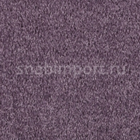 Ковровое покрытие Vorwerk VIOLA 1J02 фиолетовый — купить в Москве в интернет-магазине Snabimport