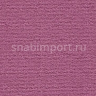 Ковровое покрытие Vorwerk DIMODA 2014 1K55 фиолетовый — купить в Москве в интернет-магазине Snabimport